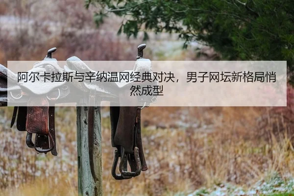 a-er-ka-la-si-yu-xin-na-wen-wang-jing-dian-dui-jue-nan-zi-wang-tan-xin-ge-ju-qiao-ran-cheng-xing-2-702.jpg