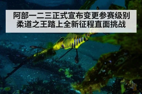 阿部一二三正式宣布变更参赛级别 柔道之王踏上全新征程直面挑战